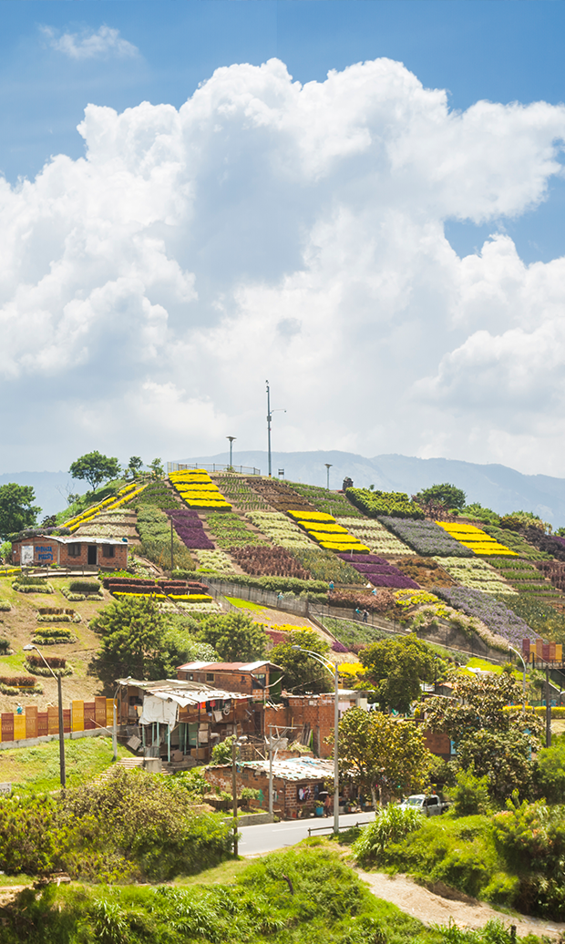 VisitMedellin