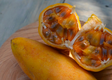 Exotic fruits of Medellin: a journey through its flavors