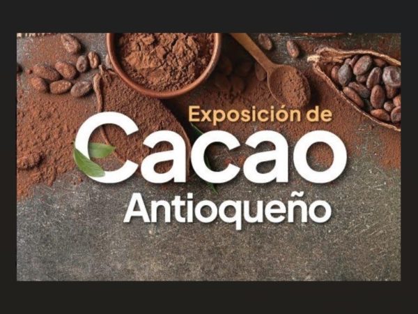 Exposiciòn de cacao