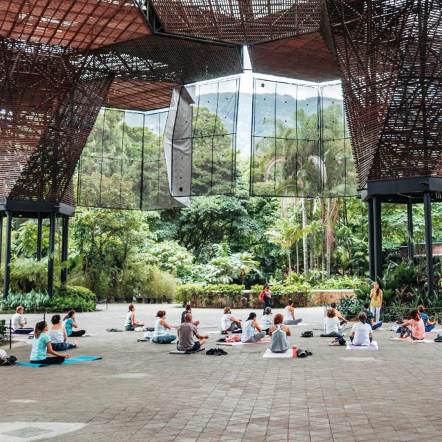 jardin-botanico
