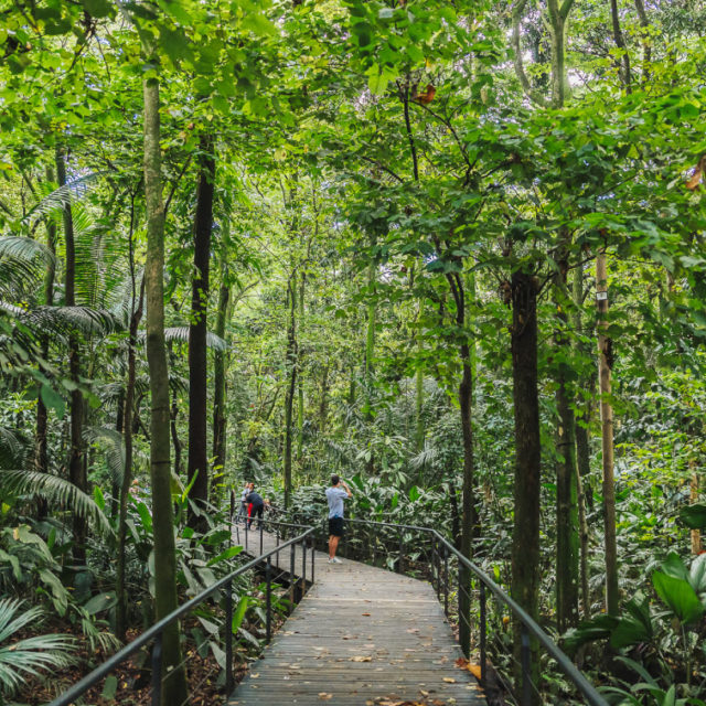 jardin-botanico-2