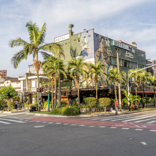 Avenida Jardín
