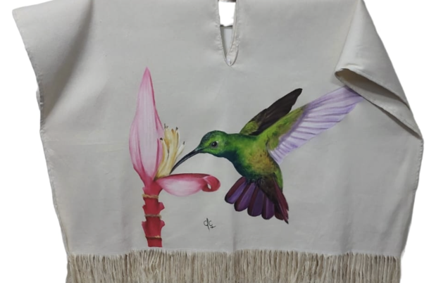 Claudia Cardona artes