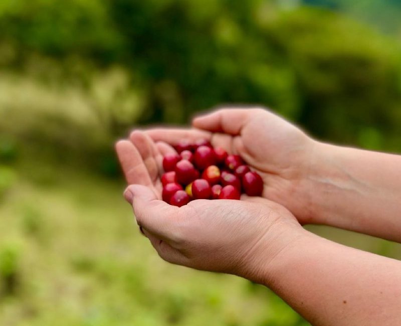 San-Antonio-de-Prado-Medellín