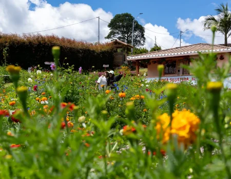 Medellin Convention and Visitors Bureau